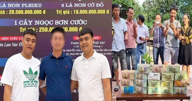 Lộ diện hai đại gia đứng sau màn giao dịch lan đột biến – Sơn La yêu cầu người bán hoa lan đột biến phải nộp thuế