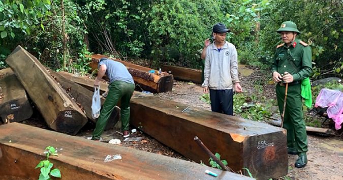 Ngược đời lâm tặc tố kiểm lâm… tiếp tay ᴘʜá rừng!