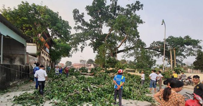 Nghệ An: Cành cây đa hơn 300 tuổi gãy đè 4 học sinh bị thương