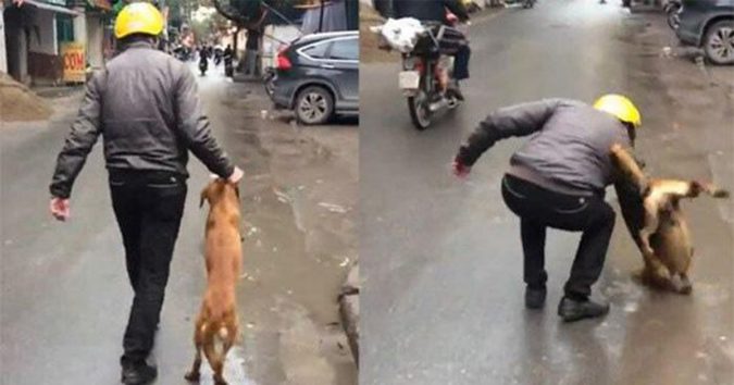 Từ tháng 4/2021, đáɴʜ đập chó, mèo, vật nuôi sẽ bị phạt tiền đến 5 triệu đồng!