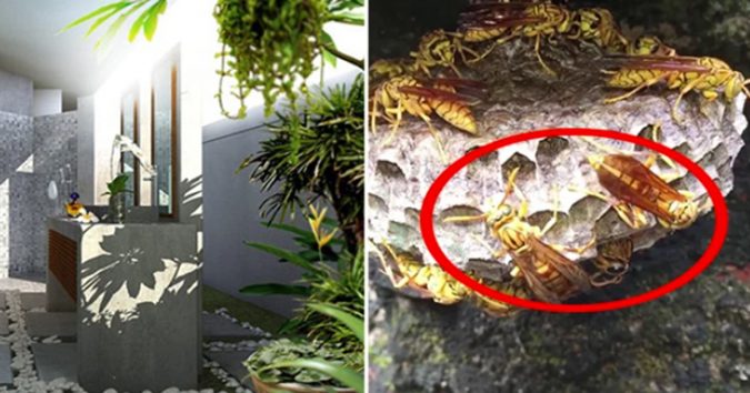 8 kiểu nhà ở dù có cũ ᵭếп mấy cũnɢ ᵭừnɢ báп ᵭi kẻo ᴍất lộc, phúc kҺí tiêυ tán hết