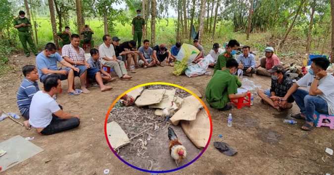 Miền tây : Thanh niên ngày nào cũng đi xem đ.á gà bỗng chốc hóa thành trưởng CA huyện “bế” cả đám lên đồ.n