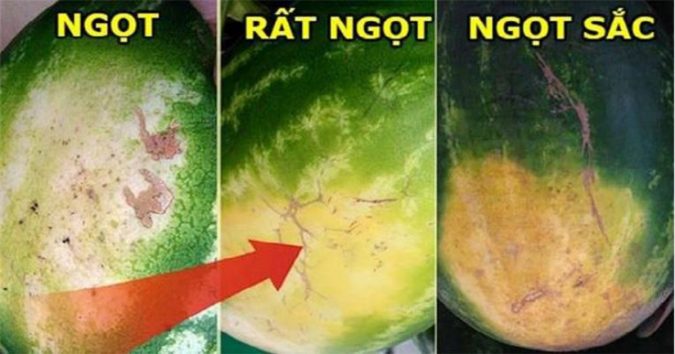 8 mẹo chọn mua hoa quả, mua 10 quả ngon cả 10