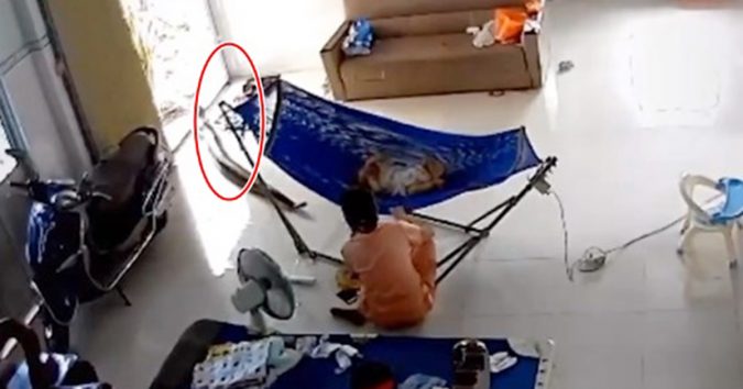 Đang Ru Ngủ, Người Mẹ Giậƫ Thóƫ Ôm Con Chạy Khỏi Trăn Khổng Lồ Đang Trườn Đến, Chỉ 10 Giây Nữa Trúng Em Bé