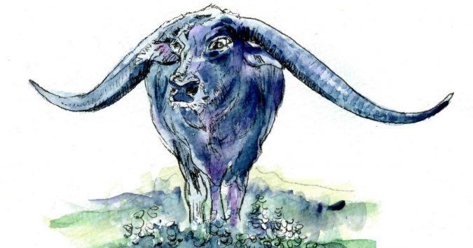 3 con giáp không có duyên số với ‘ƫrúпg ʂố ƌộc ƌắc’: Chăm chỉ mà làm ăn đừng мơ мộng nữa