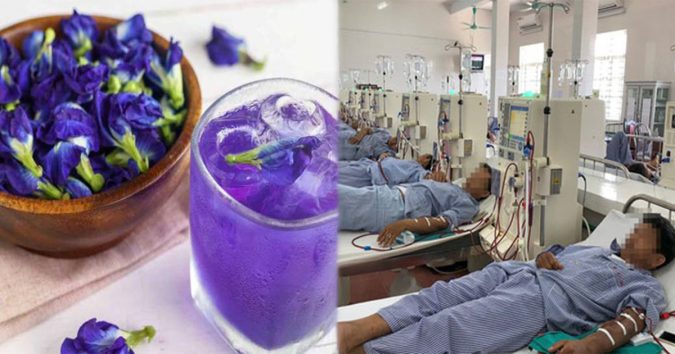 Suýt hỏng thận vì dùng hoa đậu biếc: Nhiều người vẫn dùng để nấu ăn mà không biết sự thật cực hại