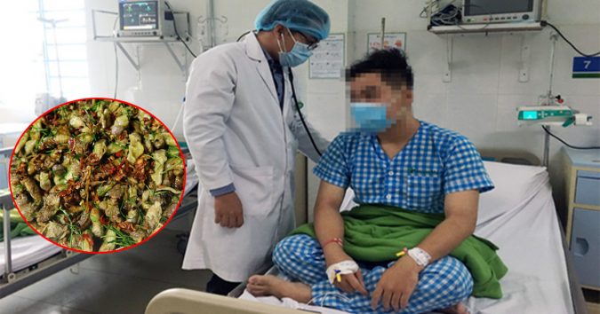 Nhập viện cấp cứu sau khi ăn ‘đặc sản’ ve sầu