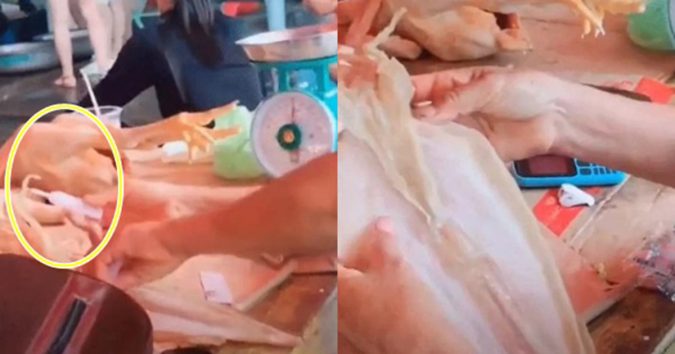 Clip tiểu thương dùng keo 502 dán râu mực bị rụng, hô biến thành mực ngon: Thản nhiên làm giữa chợ