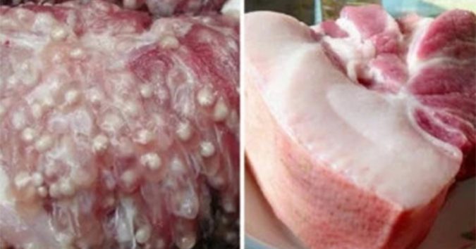 4 bộ phận bẩn nhất của con lợn: Được bán rẻ nhưng chứa đầy vi khuẩn, độc tố, ăn vào dễ sinh bệnh