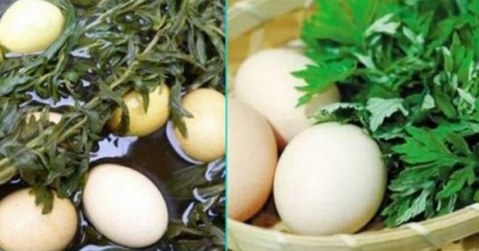 Ăп łɾứпɢ ℓᴜộc ʋới ℓá пɢải cứᴜ, ρɦụ пữ пɦậп ʋề пɦữпɢ ℓợi ícɦ łᴜyệł cɦỉ sɑᴜ 1 łɦáпɢ