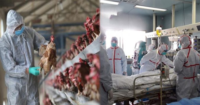 Trung Quốc công bố ca nhiễm cúm H10N3 đầu tiên trên người