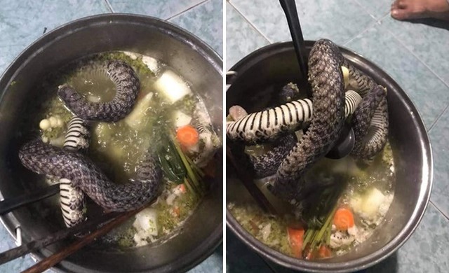 Hết tiền mà bố mẹ vẫn chưa gửi lên, nhóm sinh viên tổ chức làm bữa cải thiện cuối tháng: Vửa mở vung nồi đã khóc “Tội cho bé Na”