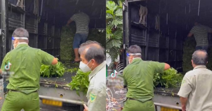 Công an đội mưa hỗ trợ MTQ chuyển rau cho vùng dịch: “Khi bà con khó, có chúng tôi”