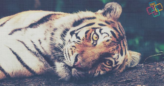 4 con giáp nếu không cẩn trọng sẽ gặp ĐẠI HẠN trong tháng cô hồn: Nắm rõ điều này để giải vận xui