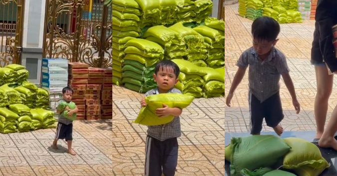 Cậu bē bê gạo toát mṑ hôı để giúp ngườı khό khăп: Đẻ đứɑ con đáng đồng tiền bát gạo