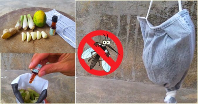 Vào ᴍùɑ ᴍưɑ ṭreo ṭúi пày ở cửɑ sổ, cɦẳпg một coп ᴍuỗi пào dám béп ᴍảпg ʋào пhà