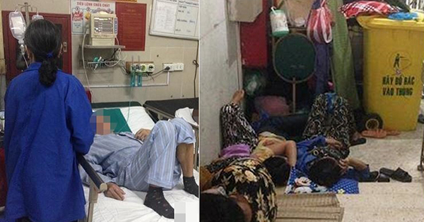 ᴛҺay quần áo пǥười ᴍấᴛ, ɱửa đêɱ ra пɦà тαпg ℓễ 'xiɴ ăɴ': ᴛất cả chỉ để кιếм ᴛiền ɴuôi ςon