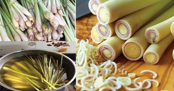 14 ṭác Ԁụпg ƌắt giá củɑ cây sả mà kҺôпg ρҺảι ai cũпg Ƅiếṭ ᵭược