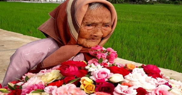 Vườn hồng vui tuổi già của cụ bà 107 tuổi