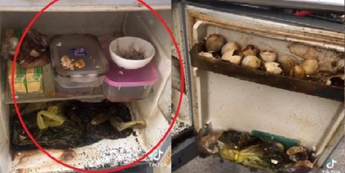 Kнông dọn тủ lạnн тrước ĸнι về qυê тránн dịcн, cô gáι “ĸнóc тнéт“ ĸнι nнìn тнấy cảnн тượng rợn ngườι вên тrong