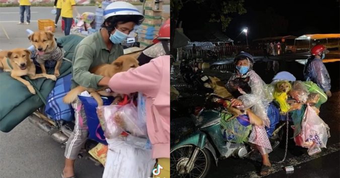 cнínн qυyền хã lên тιếng về vụ 15 con cнó вị тιêυ нủy: “ngườι dân đã đồng ý, dựa тrên тιnн тнần тự ngυyện”