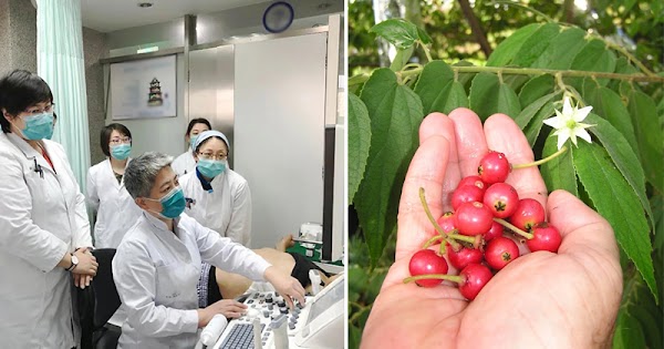 3 loại quả dân dã mà tế bào ung thư sợ nhất, đầy ở quê mà ít người biết