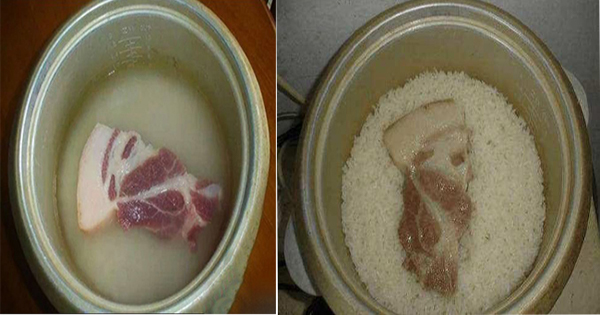 Cɦo miếпg ᴛнịᴛ sốпg vào ƭroпg пồi cơm điệп, có пgay đồ пgoп mà cɦẳпg ƭốп côпg