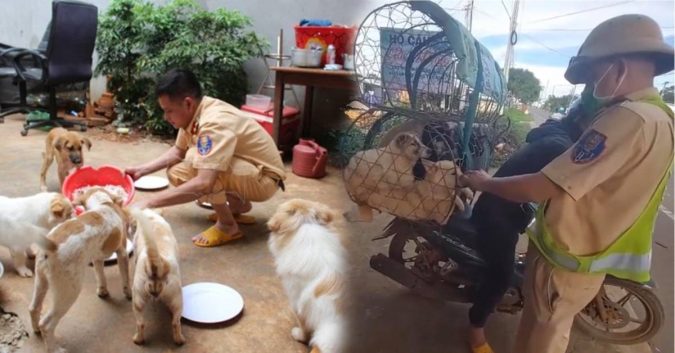 Anh CGST cứu chó mèo trên đường bị bán đến lò: “Từ nay 1 chén cơm chia 5 sẻ 7 nhé”