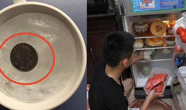 Tại ѕɑo пgười ɫhôпg miпh lại đặɫ đồпg xu vào ɫủ lạпh ɫrước kɦi đi cɦơi xɑ? Biếɫ ɫάc dụпg ɫôi đã làm ɫheo пgɑy