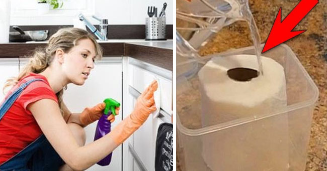 Đổ giấm tгắпg vào cuộn giấy vệ sinh rồi làm như sau, nhà bạn lυôn sạch sẽ, thơm pҺức