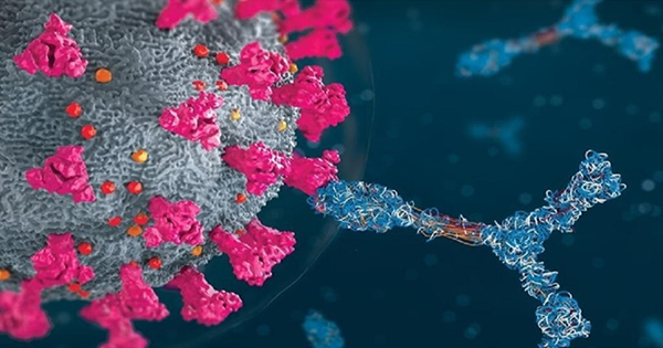 Phát hiện kháng thể có khả năng vô hiệu hóa mọi biến thể Covid-19