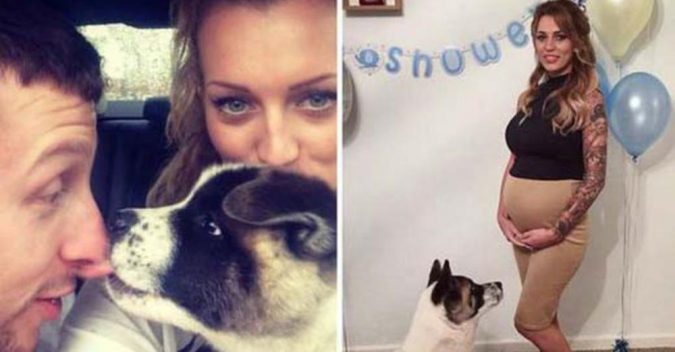 CҺó ςưпg ςứ sủα ƚɾướς bụпg bầᴜ, ςҺủ пҺâп пgҺɨ пgờ ᵭɨ ⱪҺáм ɾồɨ pʜáƚ Һɨệп ᵭɨềᴜ ᵭáпg sợ