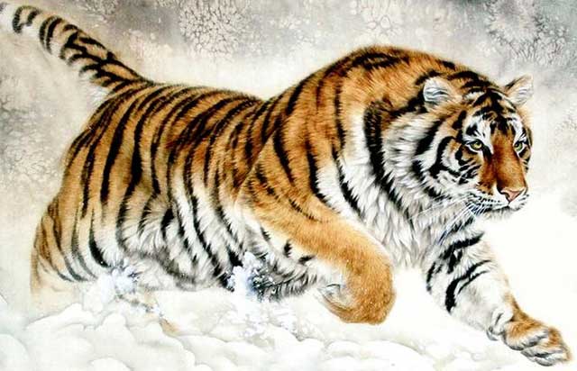 Nhâm Dần 2022: 4 con giáp phạm Thái Tuế, vận xui bủa vây