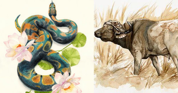 3 Con Giáp Gặp Sao Quả Tạ Rơi Xuống Đầu, Cẩn Trọng Tai Ương Trong Tháng 12 Dương Lịch