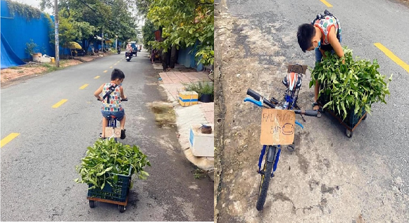 Không có thiết bị học online, cậu bé bỏ dở học hành bán rau nhặt ve chai phụ mẹ: Lội nước ăn cả chân