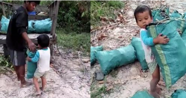 Bé trai mới 5 tuổi đã phải lang thang bê vác lao động khắp nơi kiếm tiền phụ giúp gia đình