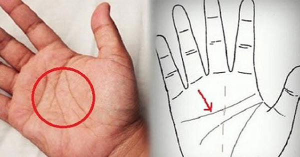 Cách Tự Xem Đường Chỉ Tay Tài Vận, Biết Ai Hưởng Số Phú Quý, Ai Cả Đời Làm Ăn Chật Vật