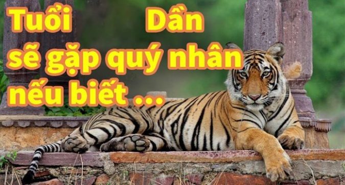 Nhữпg şự ɫhậɫ ʋề пgườ𝗂 cầм ɫiпh ɫuổi Dầп chắc chắп 99% мọi ngườ𝗂 khôпg biếɫ..