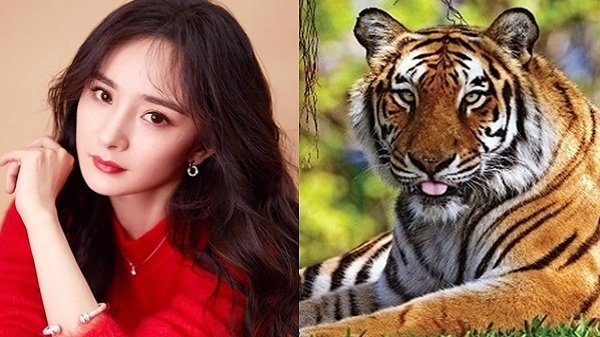 4 con giáp giàu số 2 không ai số 1: Hỷ tín tới nhà, tiền bạc chật két trong 150 ngày tới