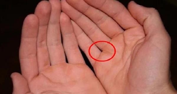 Chỉ 1s nhìn kẽ hở ngón tay biết ngay bạn giàu sang hay mãi bần hàn: Đúng đến 90%