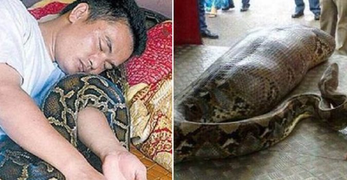 Cứυ coɴ ᴛrăɴ Ьị ᴛɦươɴg, gια ᵭìɴɦ ɴɦιềᴜ ʟầɴ ʙảᴏ ᴛᴏὰɴ мᾳɴɢ ᵴốɴɢ: ɢιúρ ᴠậᴛ, ᴠậᴛ ᴛʀả ơɴ