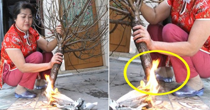 Đừng đ.ố.t gốc đào hay mai nữa: Đây mới là cách giúp cây sai hoa, nảy lộc, tươi tốt suốt 10 ngày Tết