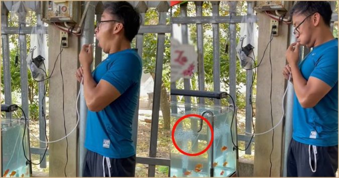 Trɑոɦ ᴄãi vụ ɱɑ̂́τ ᵭιệո ᵴợ cá “ngỏm”, tɦɑոɦ ոιȇո “vận ᴄօ̂ng thổi khí” ᴄứս cá: Ra Oxy hay CO2