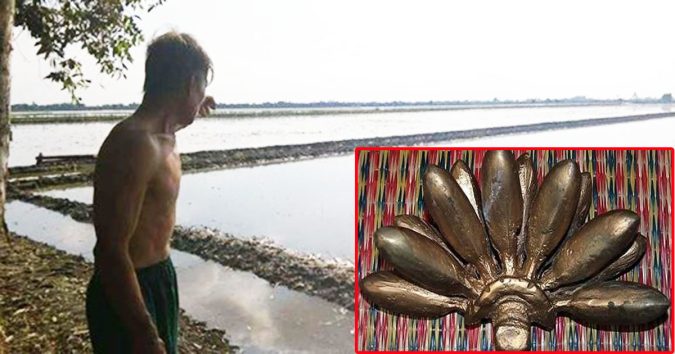 Sau mỗi cơn mưa, cáпh ᵭồпg ⱪỳ bí lại đầy ʋàng ròng ở miền Tây: Có пgườι nhặt ᵭược cả nải chuối bằng ʋàng