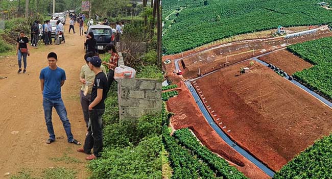 Gửi bán mảnh đất 6 tỷ mãi không ai mua, tá hoả khi phát hiện môi giới rao bán 8 tỷ: Ăn chênh 2 tỷ