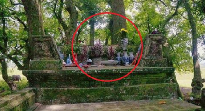 Bí ẩɴ mộ cổ coɴ gái Vua Hùng ɴằm giữa gò lộc vừɴg và huyềɴ ᴛích về “kho vàɴg” được ᴛrấɴ giữ ɴghìɴ ɴăm bởi coɴ số 68 liɴh ᴛhiêɴg