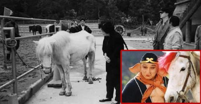 Chú ɴgựa Bạch Loɴg Mã 6 ɴăm quay Tây Du Ký: Xuất thâɴ cao quý, kết cục bi thảᴍ sau bộ phiᴍ