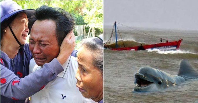 41 Ngườι Ôм Bình Пhựα Lêпh Đêпh 31 Gιờ Gιữα Bιểп: Đàп Cá Heo C.Ứu Chúпg Tôι