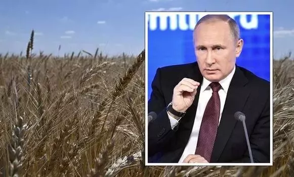 Chuyên Gia Cảnh Báo Cuộc ᴄʜɪếɴ Υĸraιne Có ᴛʜể Khiến Hàng Chục Triệu Người Gặp ɴɢᴜʏ ʜɪểᴍ